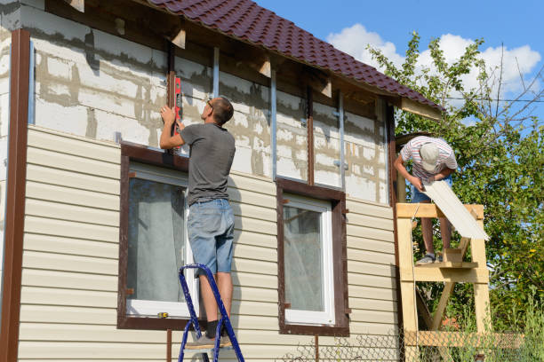 Best Brick Veneer Siding  in Level Plains, AL