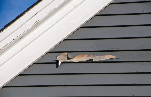 Best Fiber Cement Siding Installation  in Level Plains, AL
