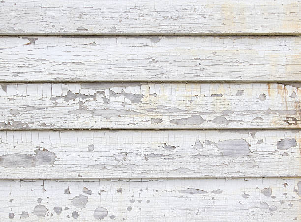 Best Engineered Wood Siding  in Level Plains, AL