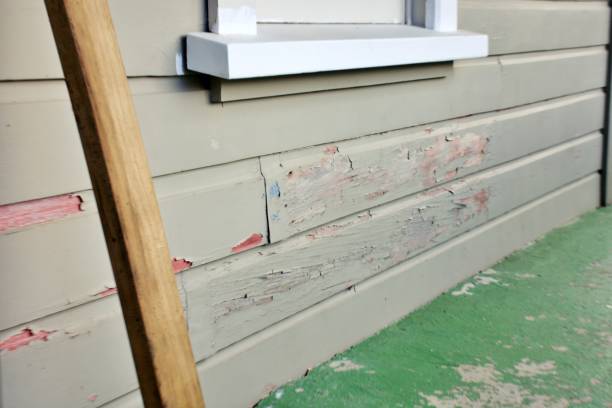 Affordable siding repair and maintenance services in Level Plains, AL